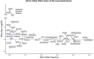 The Role of Genetics in Advancing Precision Medicine for Alzheimer’s Disease—A Narrative Review